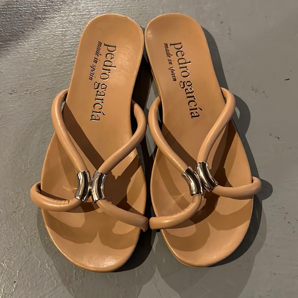 Carmel colored Pedro Garcia sandals
